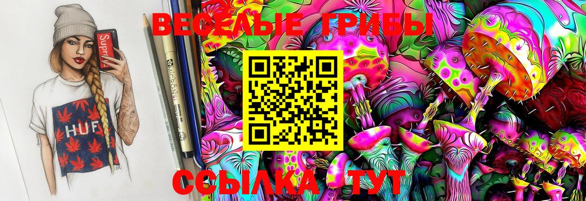 Псилоцибиновые грибы Cubensis Кимры